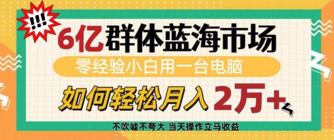 6亿群体蓝海市场，零经验小白用一台电脑，如何轻松月入过w【揭秘】-冒泡网