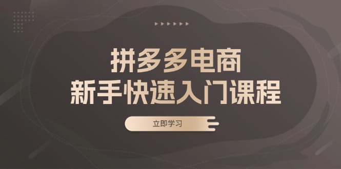 拼多多电商新手快速入门课程：涵盖基础、实战与选款，助力小白轻松上手 - 冒泡网-冒泡网