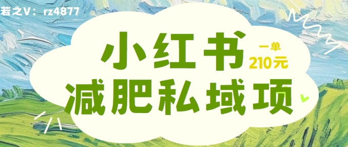 小红书减肥粉，私域变现项目，一单就达210元，小白也能轻松上手【揭秘】 - 冒泡网-冒泡网