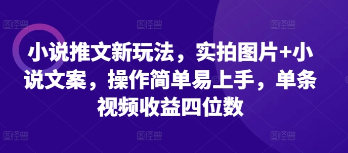 小说推文新玩法，实拍图片+小说文案，操作简单易上手，单条视频收益四位数 - 冒泡网-冒泡网