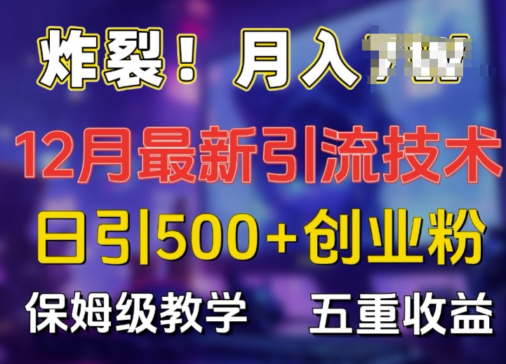 炸裂!揭秘12月最新日引流500+精准创业粉，多重收益保姆级教学 - 冒泡网-冒泡网