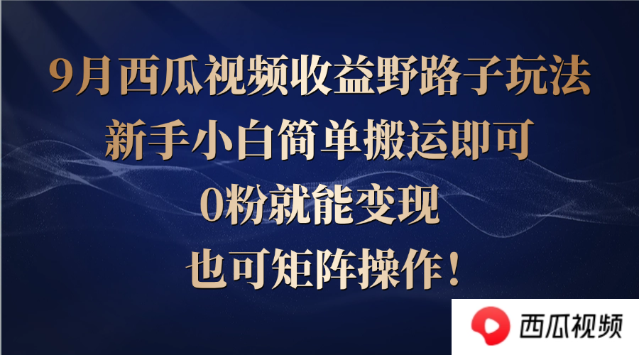 西瓜视频收益野路子玩法，新手小白简单搬运即可，0粉就能变现，也可矩… - 冒泡网-冒泡网