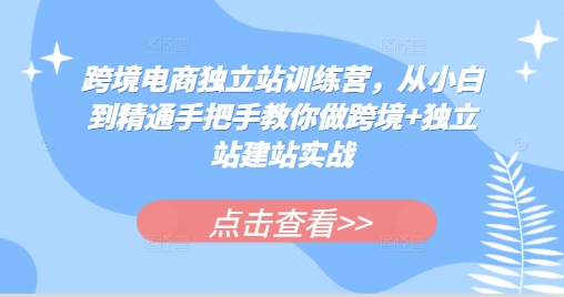 跨境电商独立站训练营，从小白到精通手把手教你做跨境+独立站建站实战 - 冒泡网-冒泡网