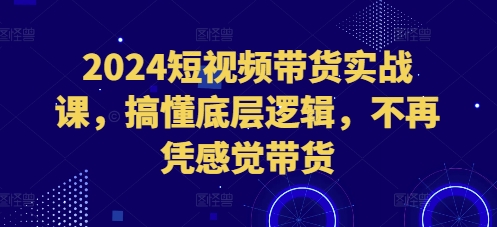 2024短视频带货实战课，搞懂底层逻辑，不再凭感觉带货 - 冒泡网-冒泡网