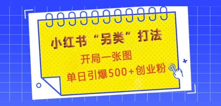 小红书“另类”打法，开局一张图，单日引爆500+精准创业粉【揭秘】-冒泡网