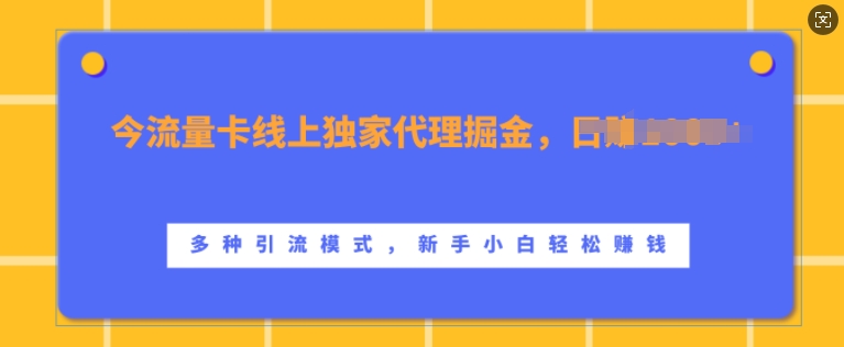 流量卡线上独家代理掘金，日入1k+ ，多种引流模式，新手小白轻松上手【揭秘】 - 冒泡网-冒泡网