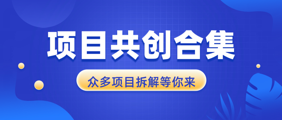 项目共创合集，从0-1全过程拆解，让你迅速找到适合自已的项目-冒泡网