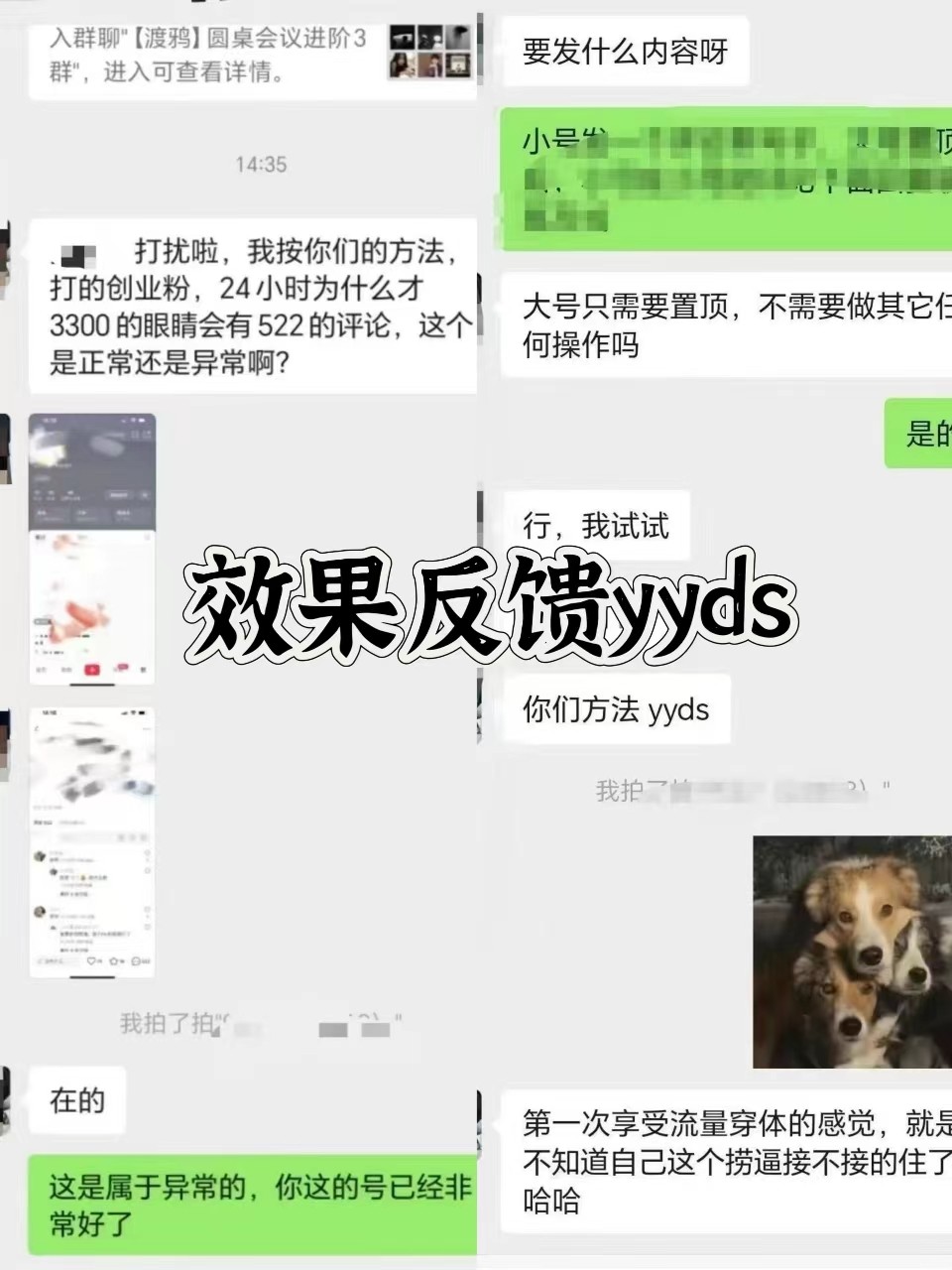 图片[3]-抖音小红书视频号全平台引流打法，全自动引流日引2000+精准客户 - 冒泡网-冒泡网