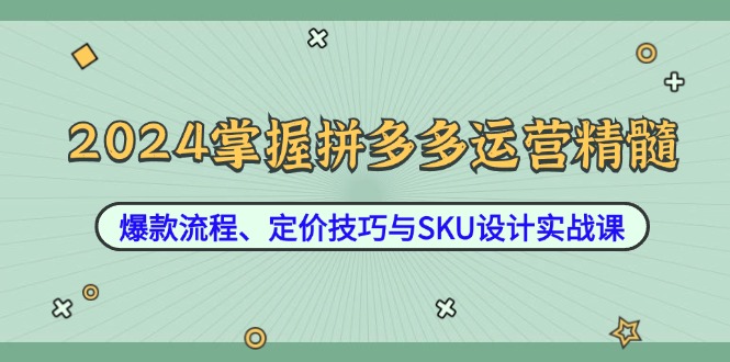 2024掌握拼多多运营精髓：爆款流程、定价技巧与SKU设计实战课 - 冒泡网-冒泡网