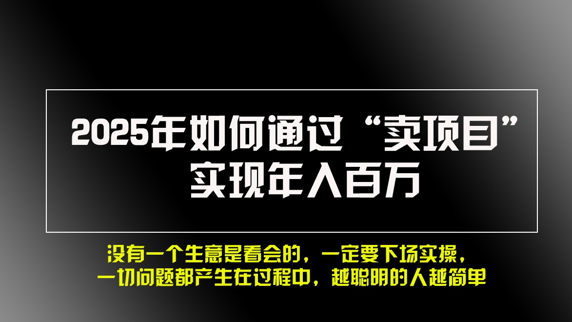 2025年如何通过“卖项目”实现年入百万 - 冒泡网-冒泡网