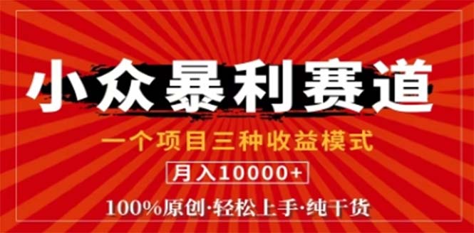 视频号最新爆火赛道，三种可收益模式，0粉新号条条原创条条热门 日入1000+ - 冒泡网-冒泡网